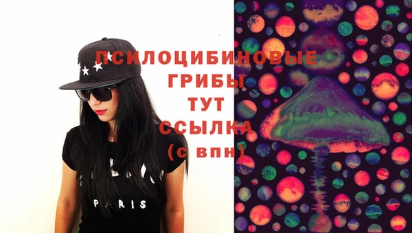 spice Карталы