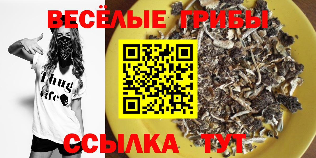 Галлюциногенные грибы Cubensis Красногорск