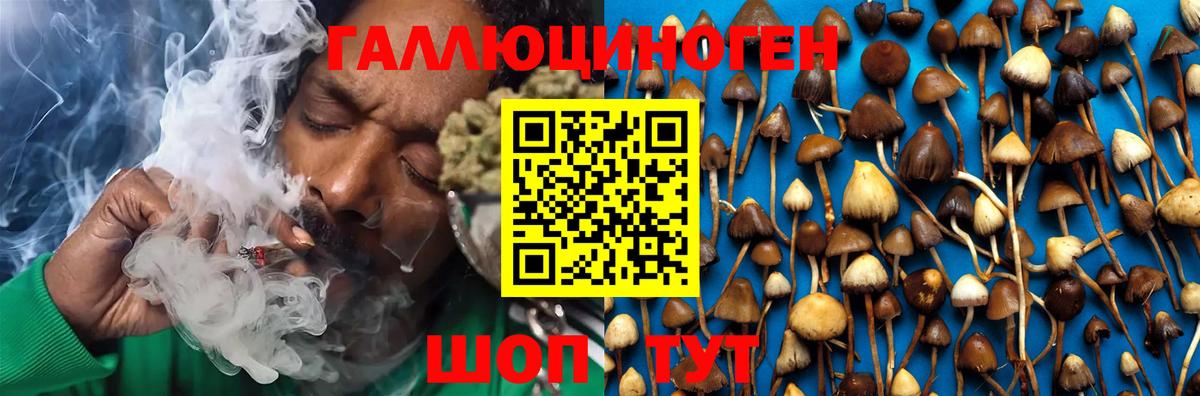 Псилоцибиновые грибы Magic Shrooms  Красногорск 