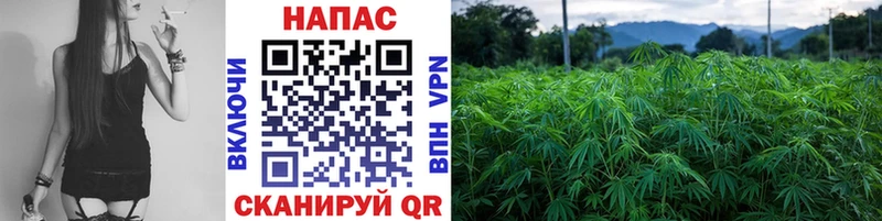 где купить наркоту  Красногорск  Бошки Шишки тримм 